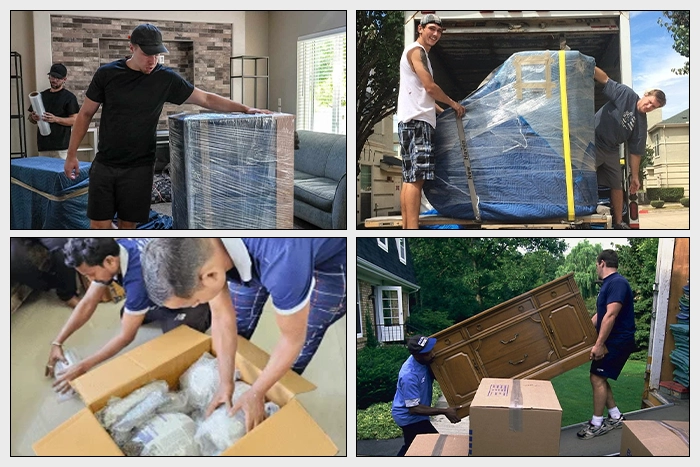 specilalty moving